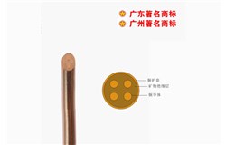 BTTZ-750V礦物質電纜